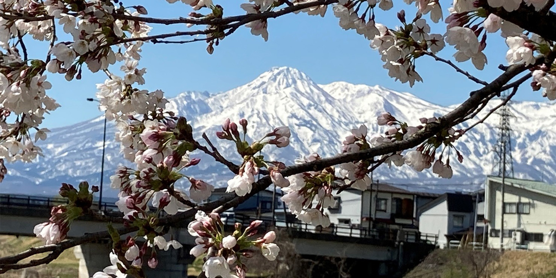 有限会社　肝太
