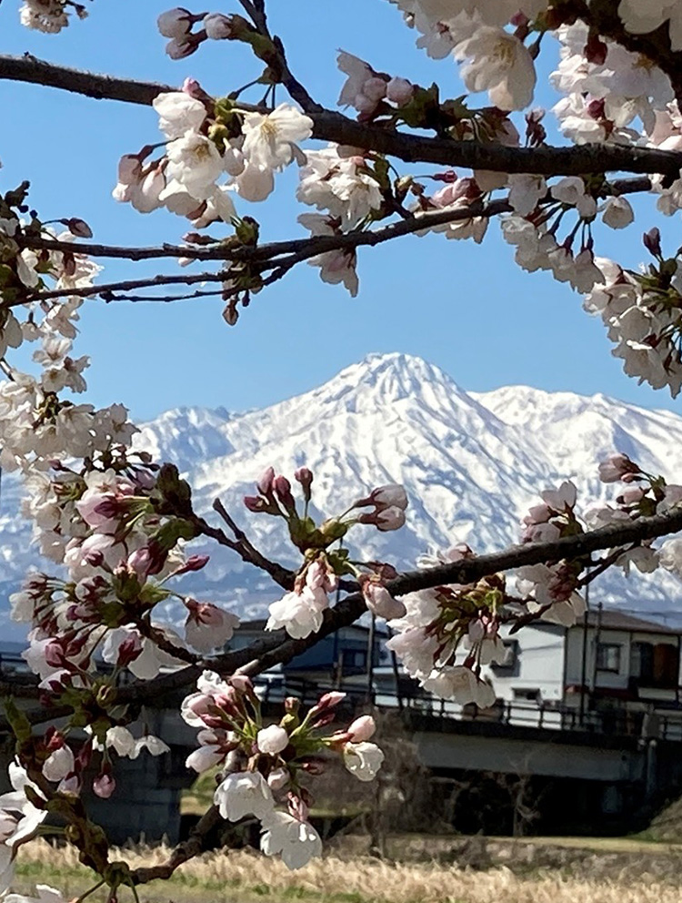 有限会社　肝太